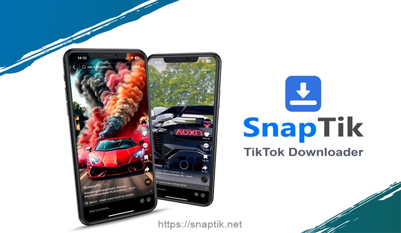 TikTok Downloader